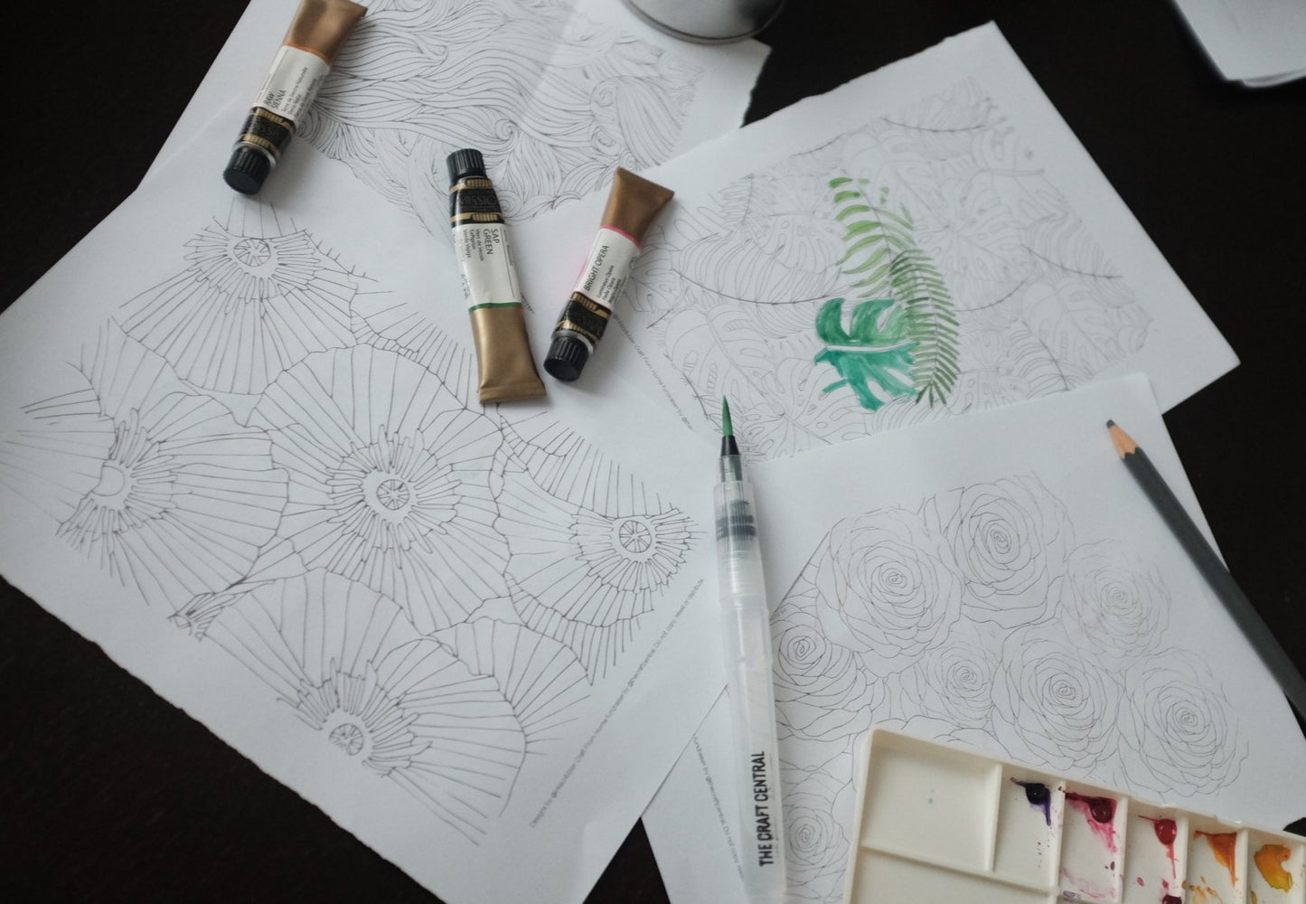 TCC Coloring Sheets Bundle 5in1