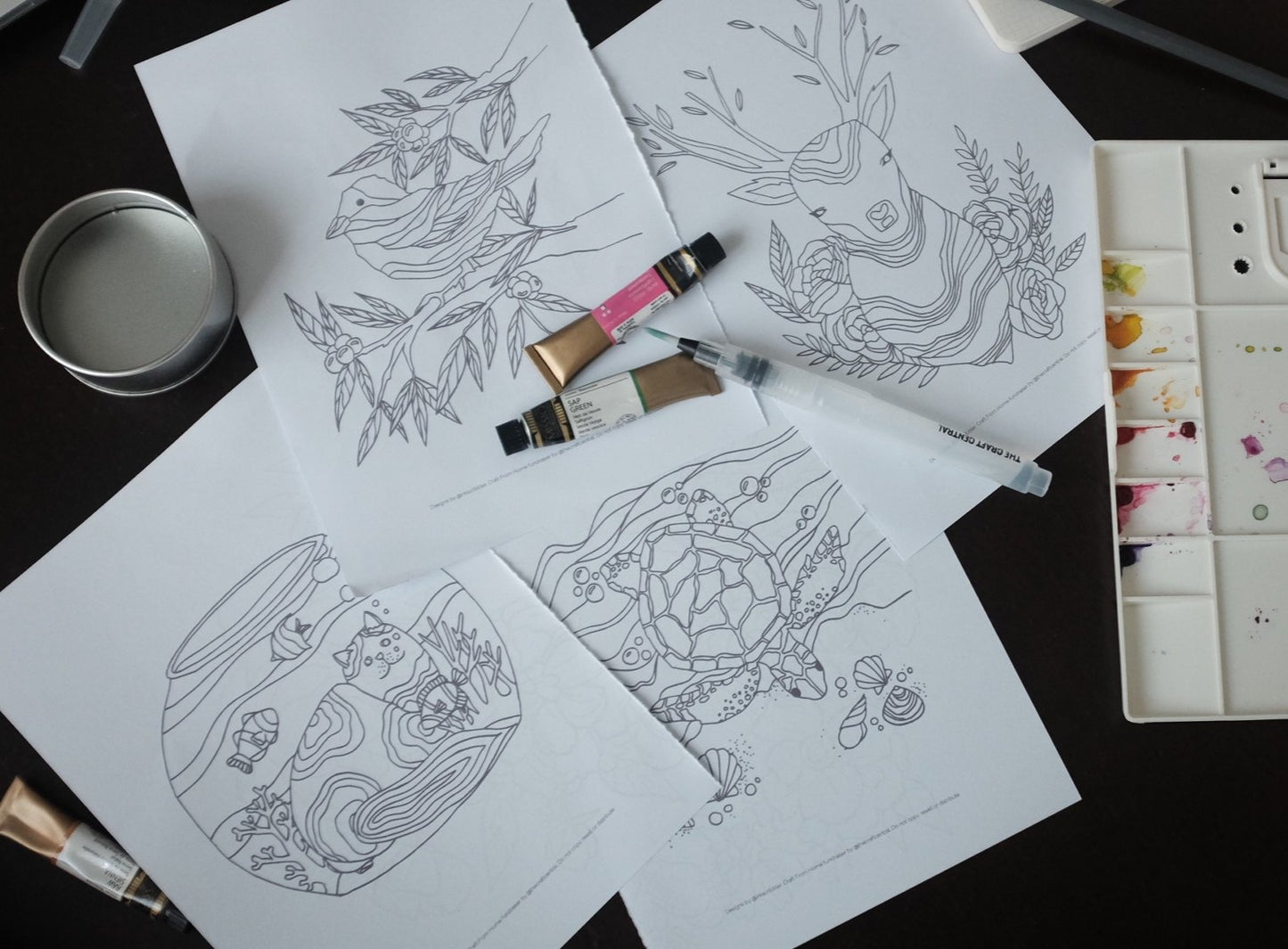 TCC Coloring Sheets Set3: Animals