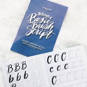 TCC Basic Brush Script Workbook