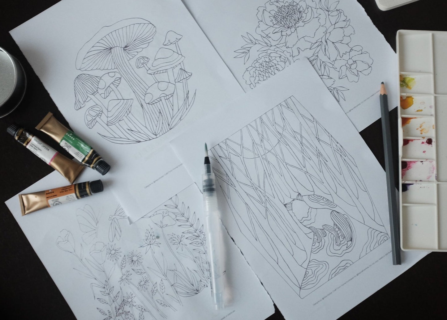 TCC Coloring Sheets Set4: Nature