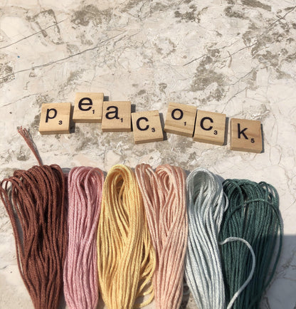 Embroidery Floss Threads 6 Skeins - The Craft Central