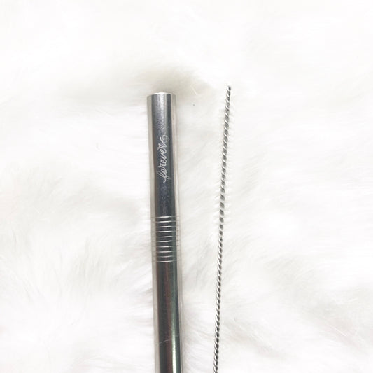 Reusable Milktea Straw with cleaning brush - Silver