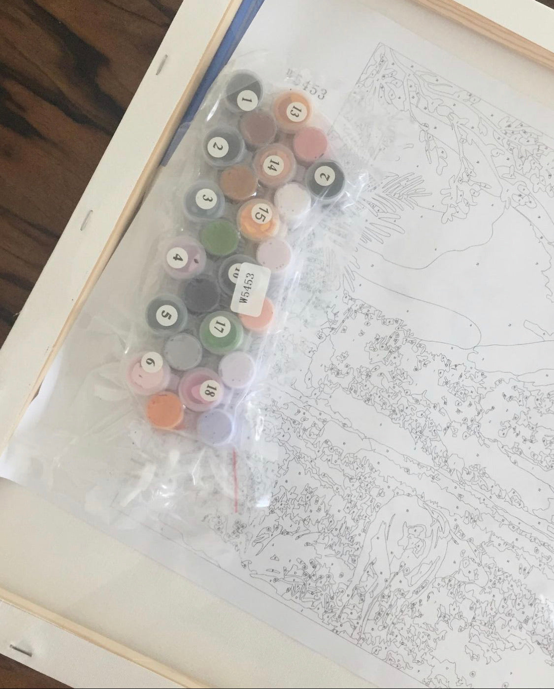 Infinetties Paint-by-Numbers